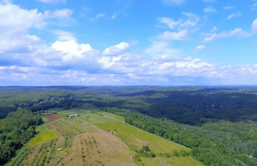 Trout Brook Valley Preserve, Connecticut, USA